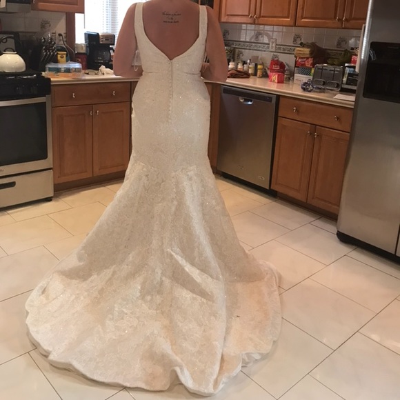 Ivory Lace Trumpet Gown with sewn in sequin belt - Picture 6 of 7